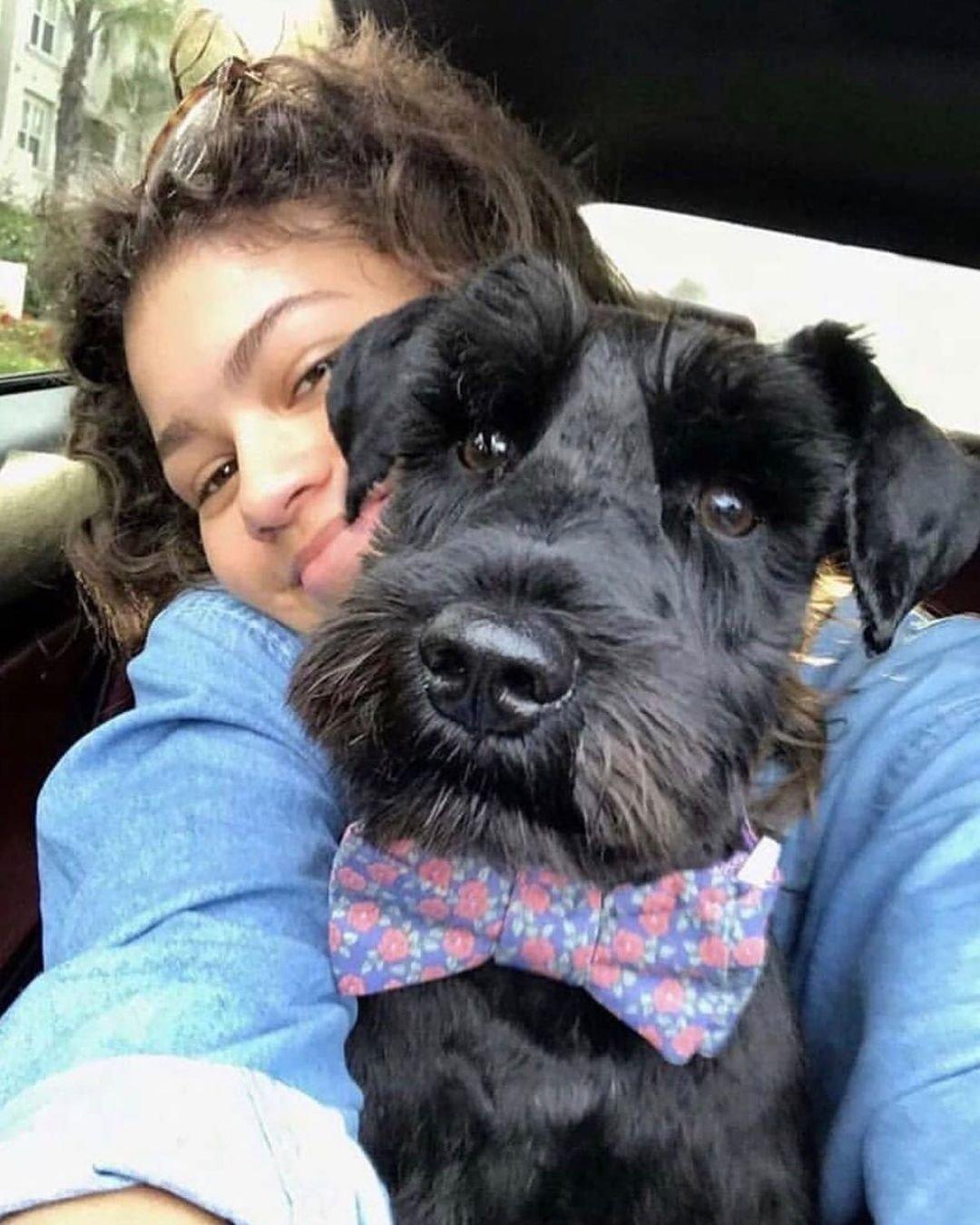 Zendaya's Dog Noon Is The Cutest Sidekick