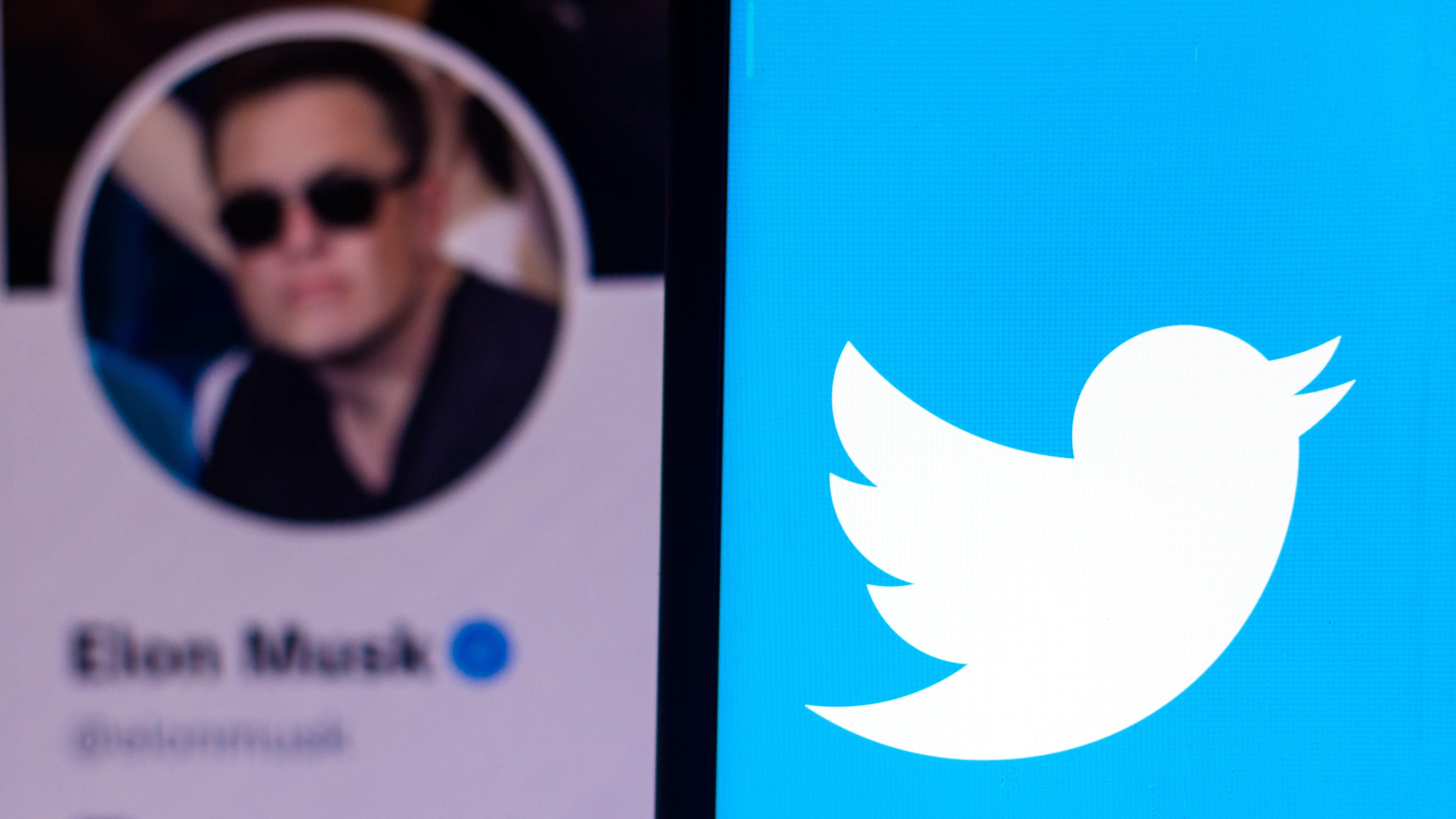 Elon Musk's Twitter profile picture next to the logo of Twitter