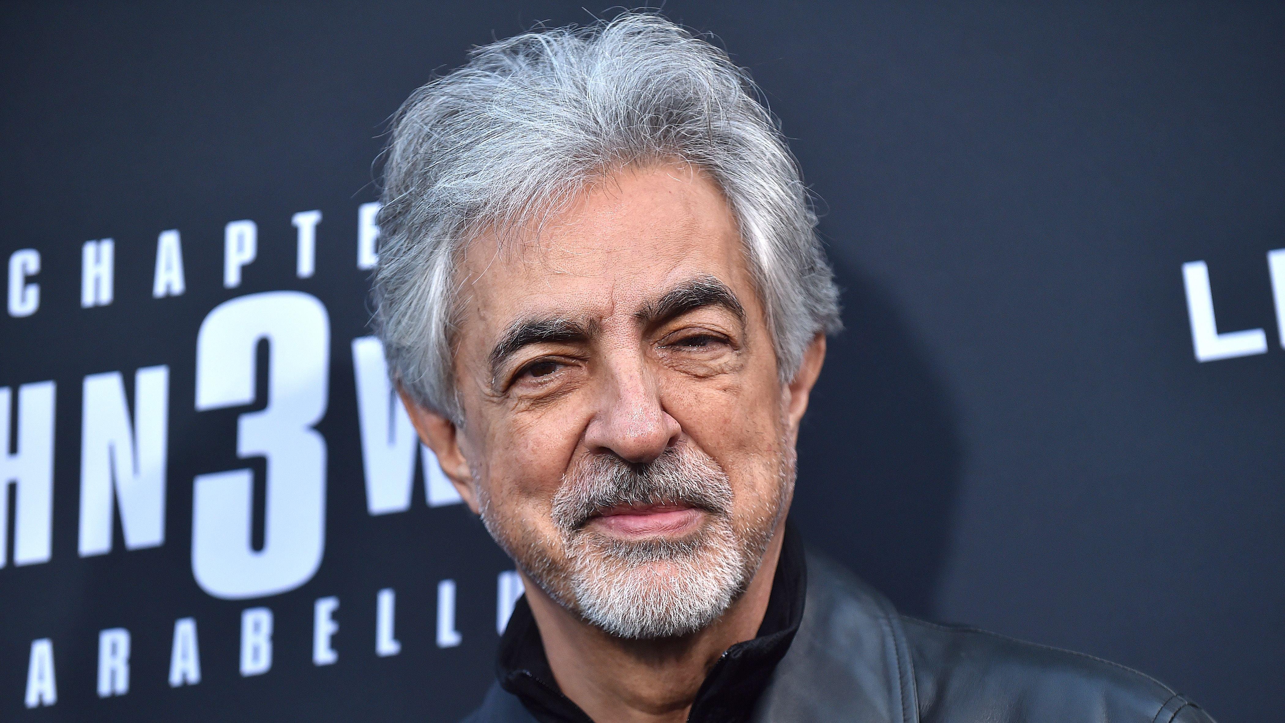 Criminal Minds' Star Joe Mantegna Dishes On How The Revival Series Will  Continue To 'Push The Envelope'